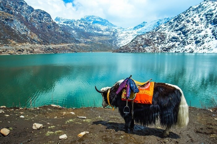 8 Activities Possible to Experience on Your Sikkim Tour