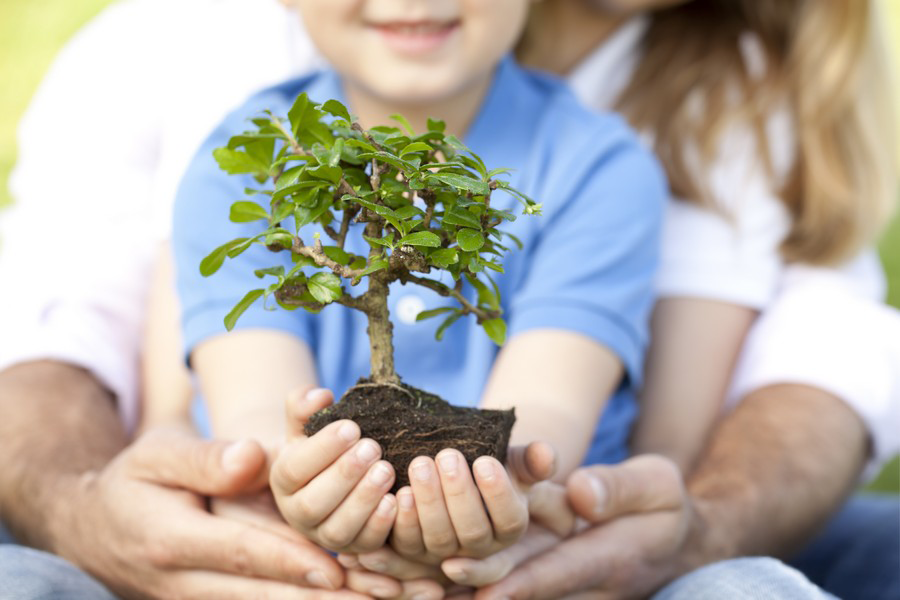A Unique Way of Wealth Creation Investing