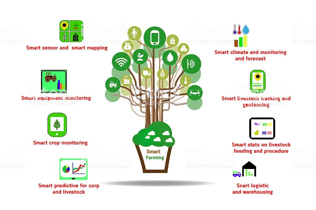 The Significance of Smart Farming