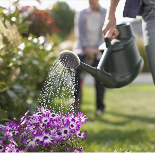 Benefits of Home Garden: For Better Health