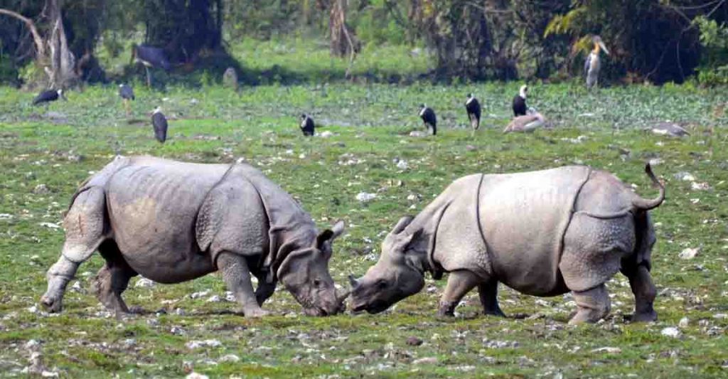 5 Things to Do in Guwahati for a Rejuvenating Vacation