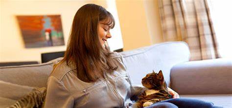 5 Tricks to Keep Your Cat Happy