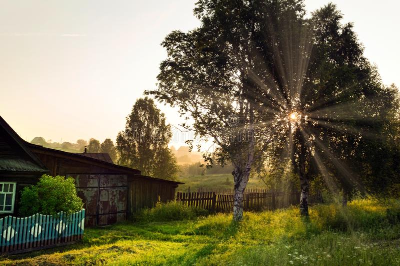 Why Conversing Our Forests Is The Need Of The Hour