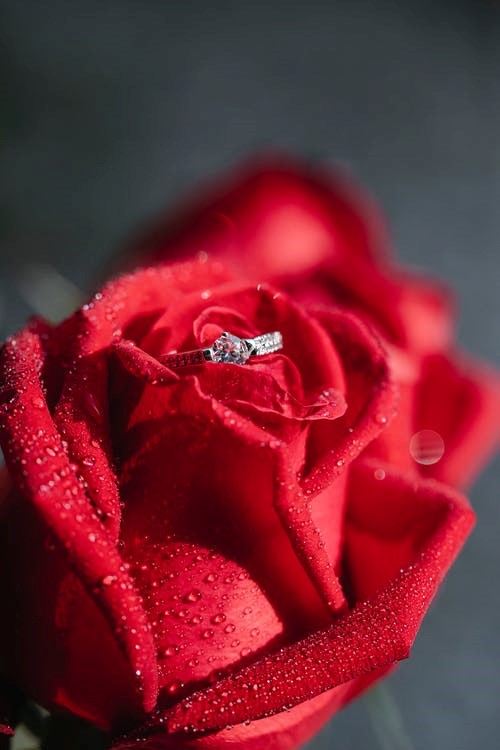 Buy the Best Promise Ring for Women Online