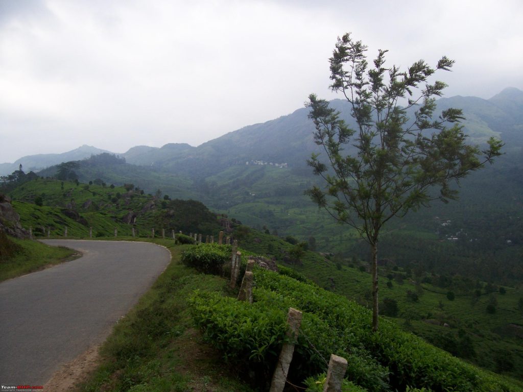 You Can Visit These Places in Munnar to Have The Best Time Of Your Life