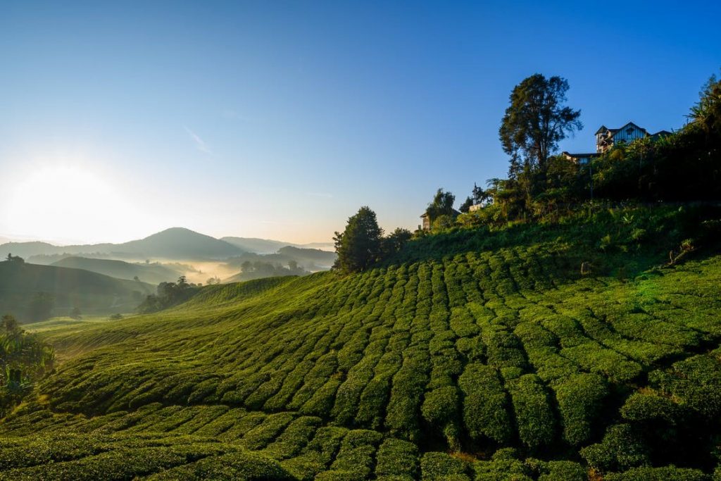 Bus Travel in Malaysia Is The Key To Living The Life At The Fullest