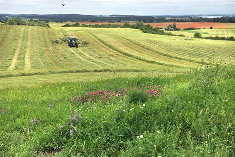 3 Causes of Declining Biodiversity and What You Can Do To Help